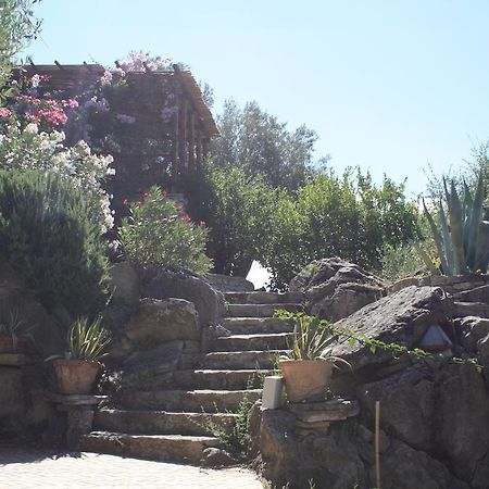 Rocca Del Vento Bed & Breakfast San Pantaleone Exterior foto