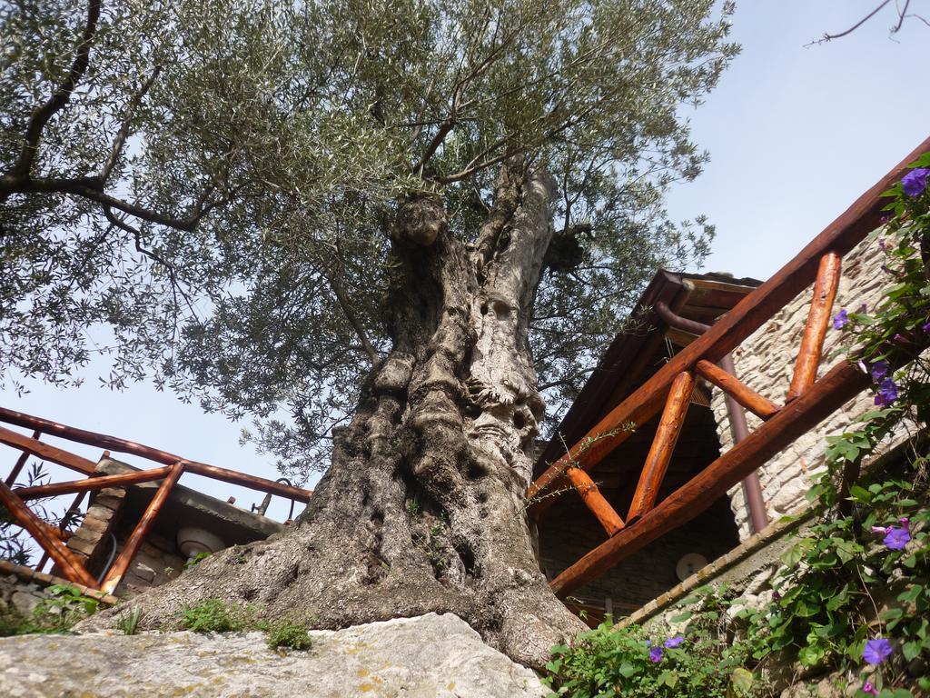 Rocca Del Vento Bed & Breakfast San Pantaleone Exterior foto