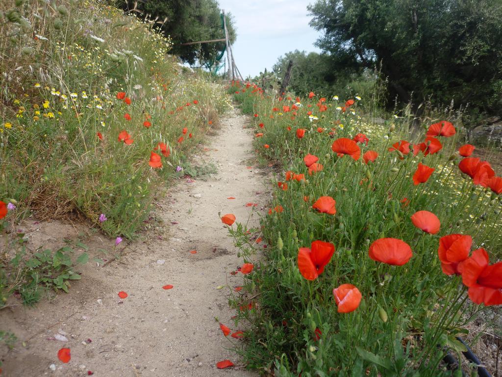 Rocca Del Vento Bed & Breakfast San Pantaleone Exterior foto