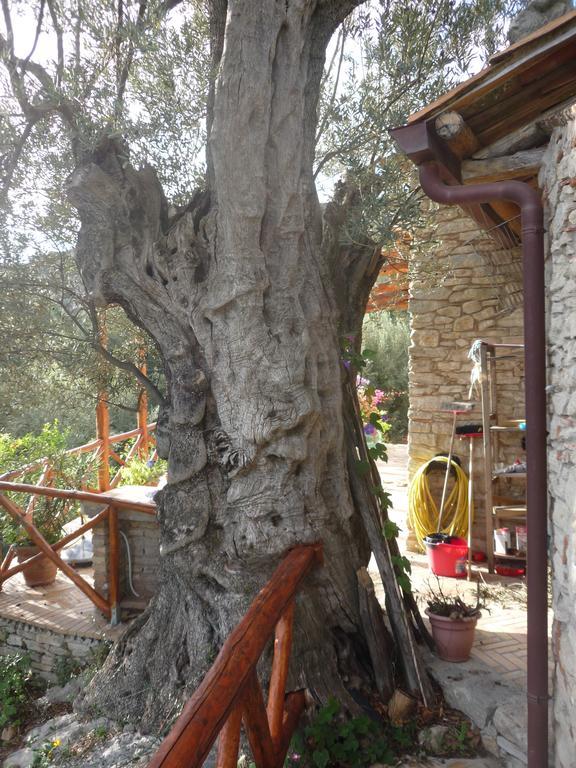 Rocca Del Vento Bed & Breakfast San Pantaleone Exterior foto