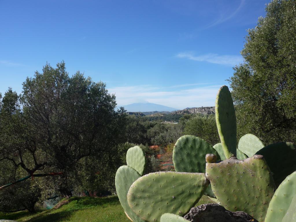 Rocca Del Vento Bed & Breakfast San Pantaleone Exterior foto
