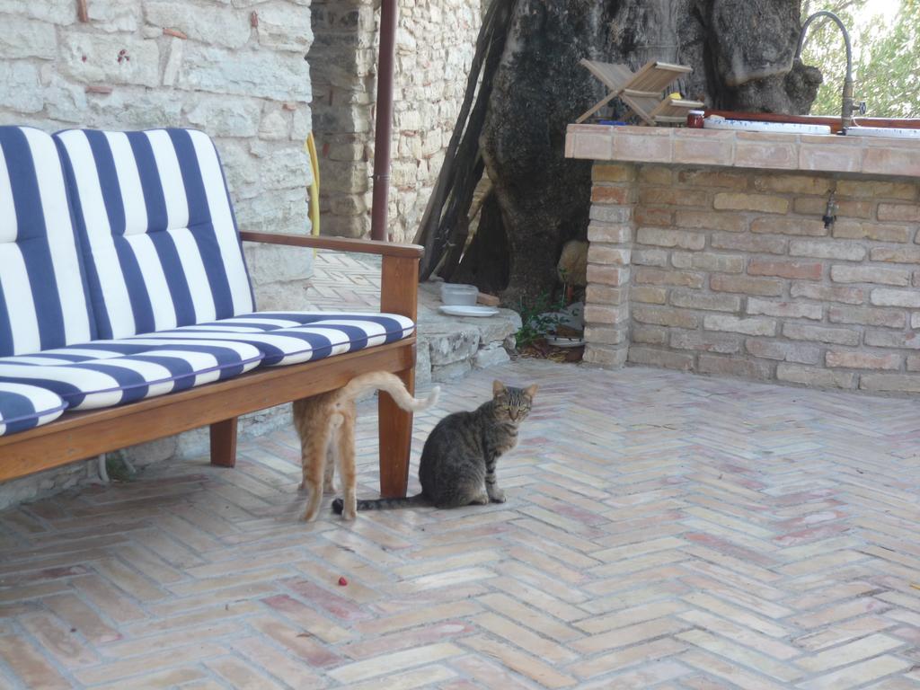 Rocca Del Vento Bed & Breakfast San Pantaleone Exterior foto